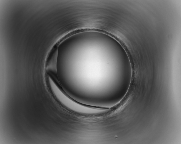 X0000089901077200707192028