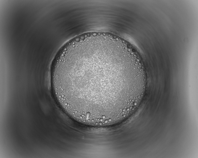 X0000089901079200707192028