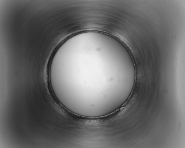 X0000089901082200707192028