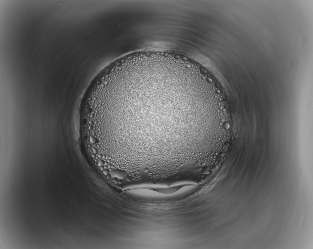 X0000089901083200707192028