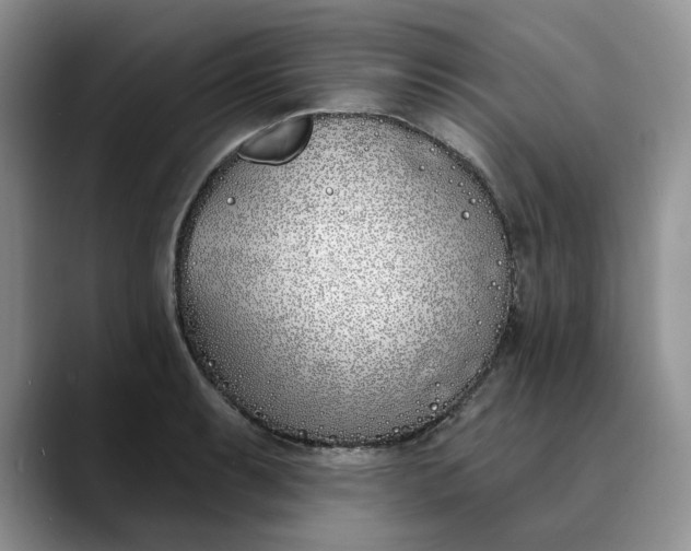 X0000089901087200707192028