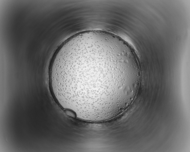 X0000089901088200707192028