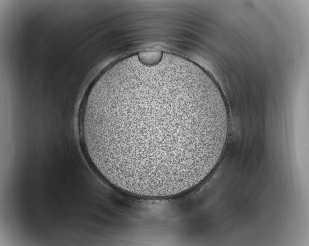 X0000089901090200707192028