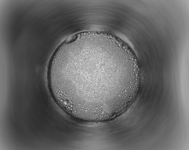 X0000089901091200707192028