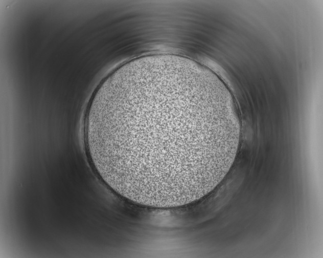 X0000089901098200707192028