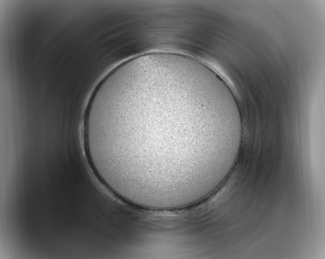 X0000089901100200707192028
