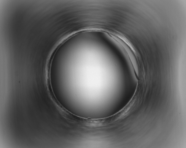 X0000089901101200707192028