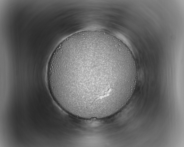 X0000089901103200707192028