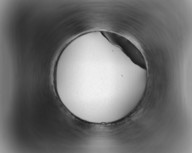 X0000089901104200707192028