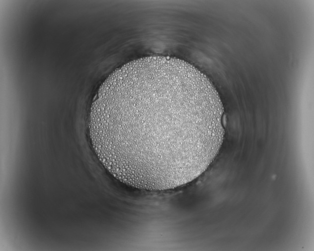 X0000089901105200707192027