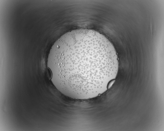 X0000089901106200707192028