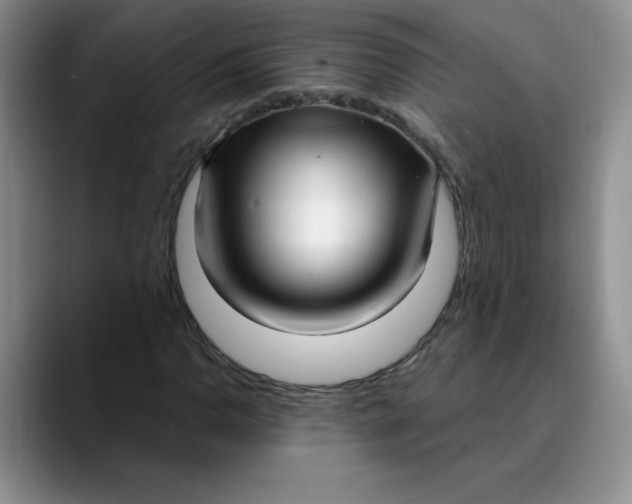 X0000089901110200707192028