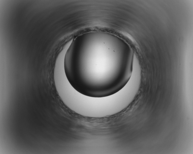 X0000089901112200707192028