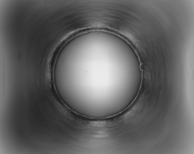 X0000089901118200707192028