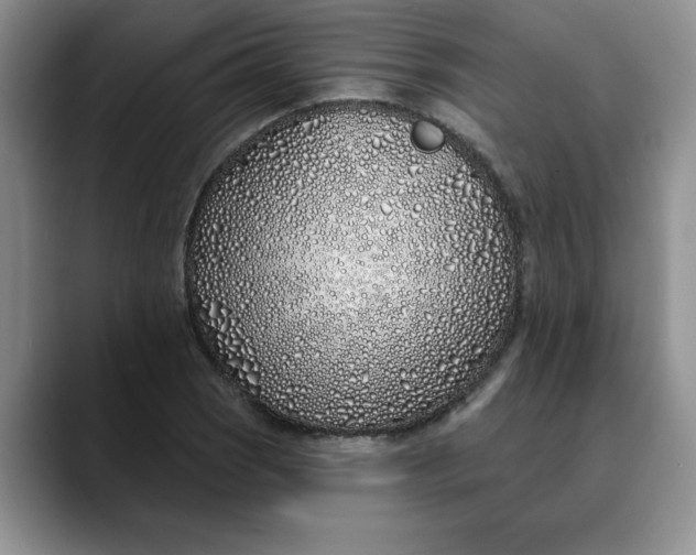 X0000089901121200707192028
