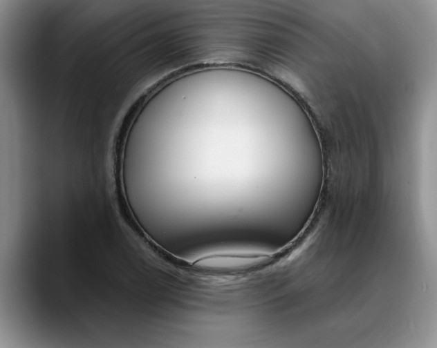 X0000089901122200707192028
