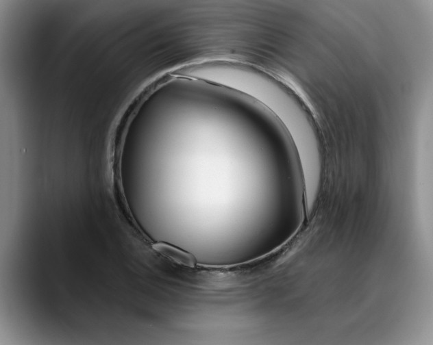 X0000089901124200707192028