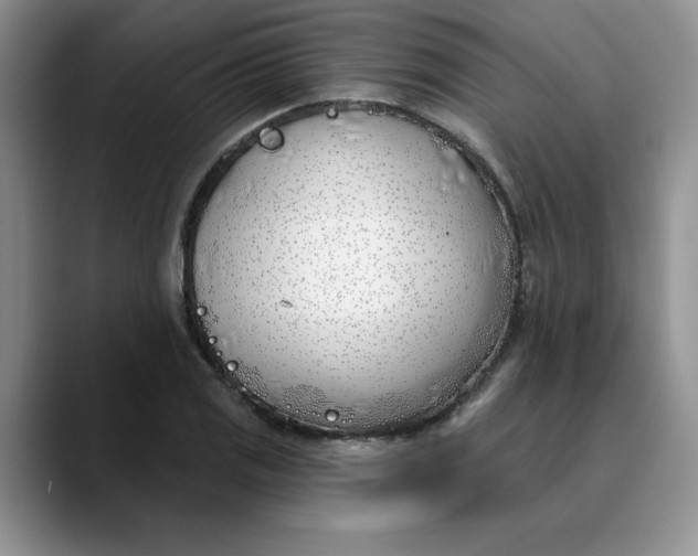 X0000089901125200707192028