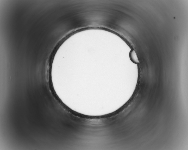 X0000089901126200707192028