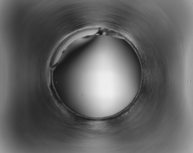 X0000089901127200707192028