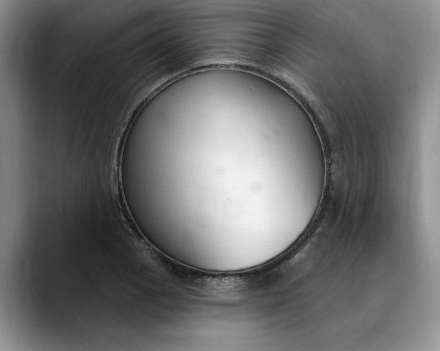 X0000089901129200707192028