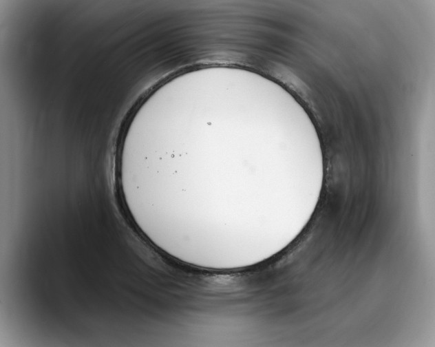 X0000089901130200707192028