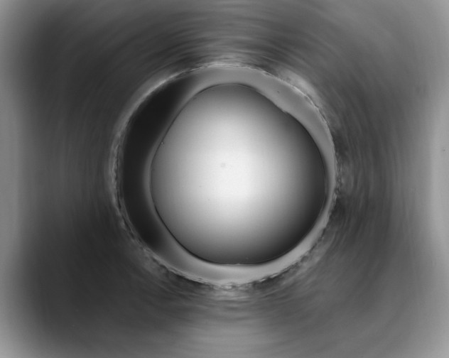 X0000089901138200707192028