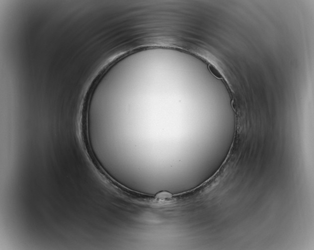X0000089901139200707192028