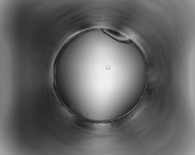 X0000089901140200707192028