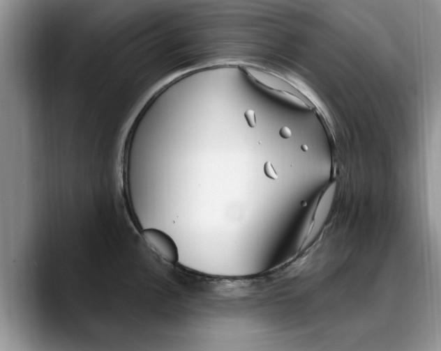 X0000089901148200707192028