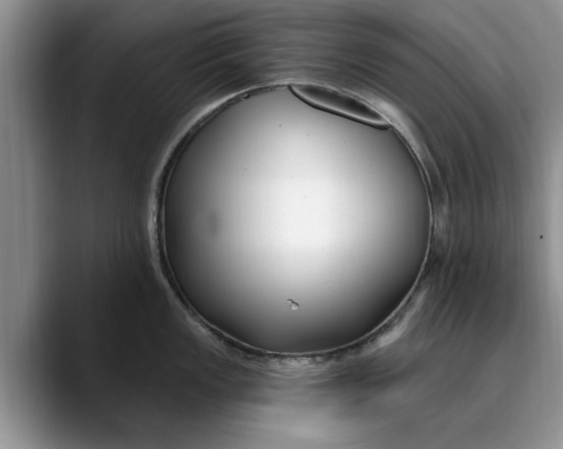 X0000089901149200707192028