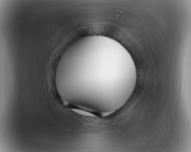 X0000089901153200707192027