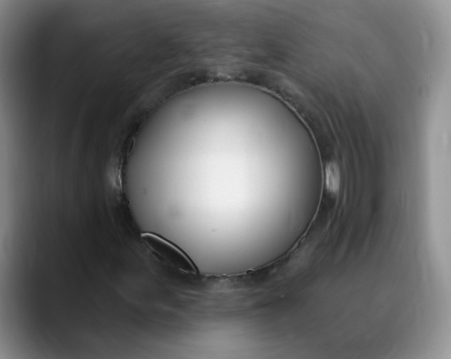 X0000089901155200707192027