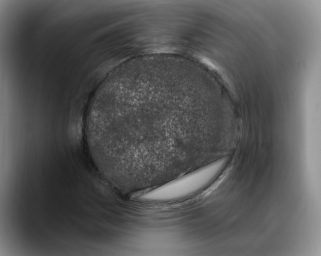 X0000089901161200707192027