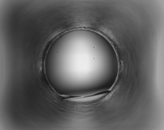 X0000089901165200707192027