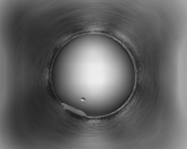 X0000089901169200707192027