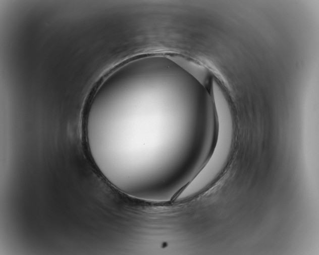 X0000089901173200707192027