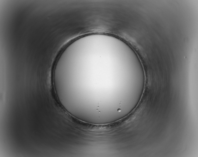 X0000089901174200707192027