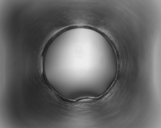 X0000089901175200707192027
