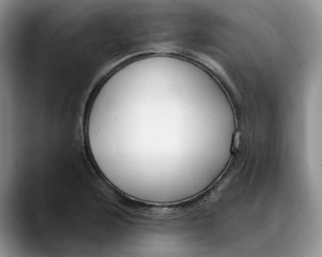 X0000089901176200707192027