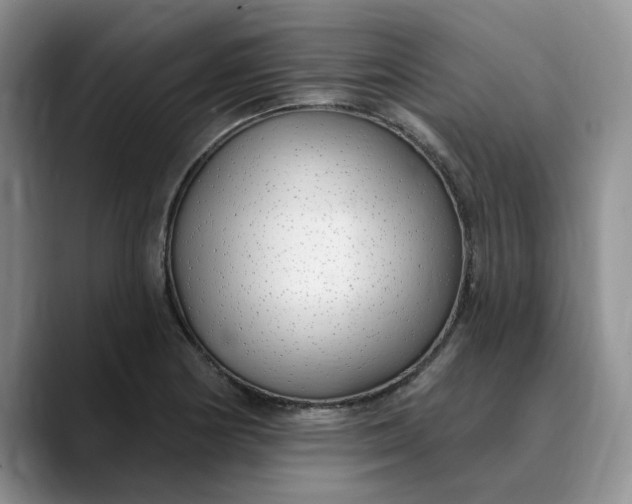 X0000089901178200707192027