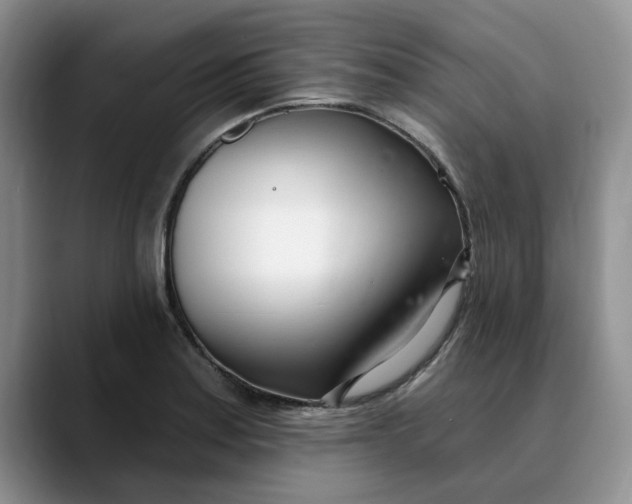 X0000089901179200707192027