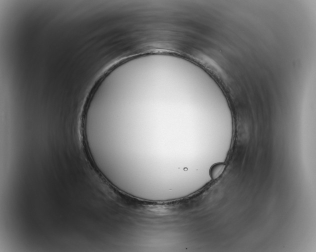 X0000089901182200707192027