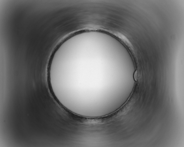 X0000089901183200707192027