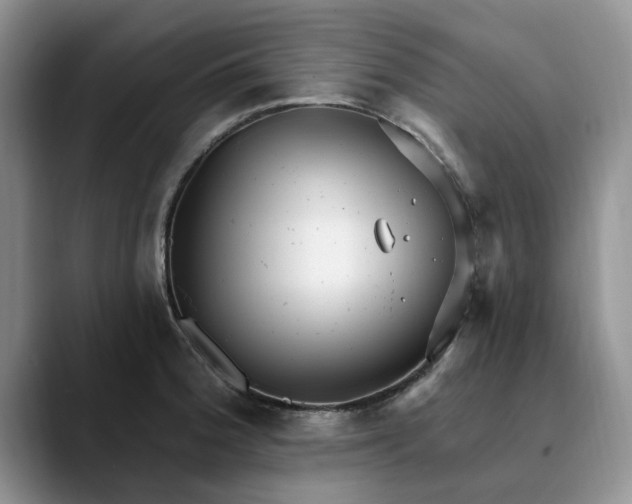 X0000089901188200707192027