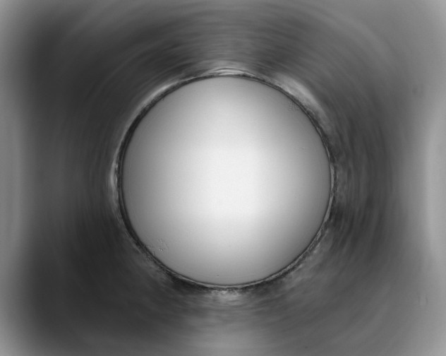 X0000089901190200707192027
