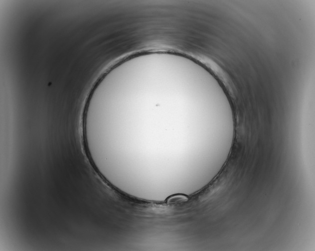 X0000089901191200707192027