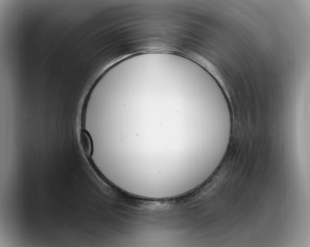 X0000089901195200707192027