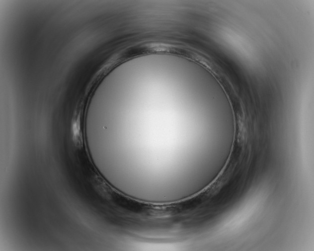 X0000089901198200707192027