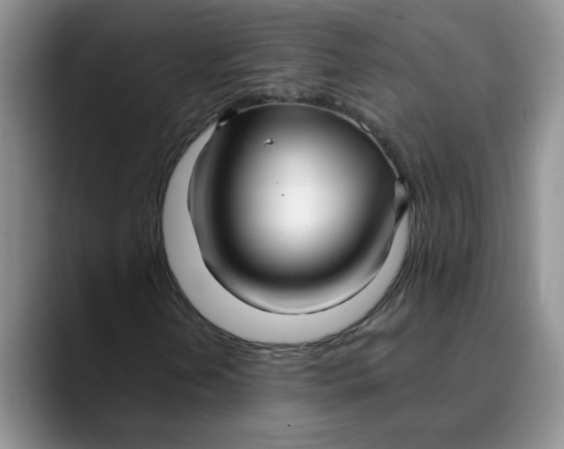 X0000089901202200707192026